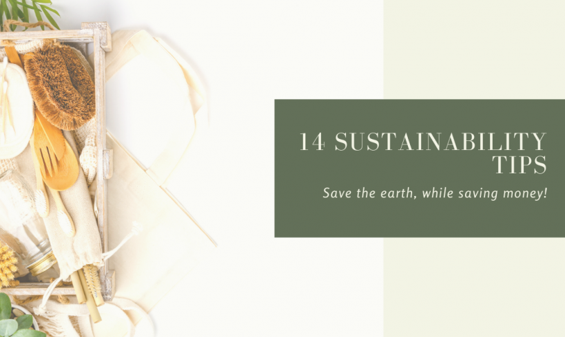 14 Sustainability Tips: Save The Earth, While Saving Money 14 Sustainability Tips: Save The Earth, While Saving Money