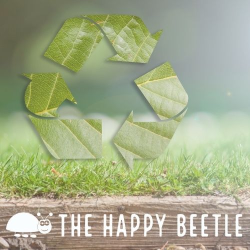The Happy Beetle